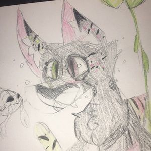 Meet your Posher, Kahleeea